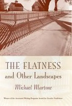Martone |  Flatness & Other Landscapes | Buch |  Sack Fachmedien