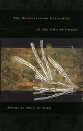 Bang |  The Downstream Extremity of the Isle of Swans | Buch |  Sack Fachmedien