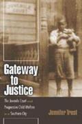Trost / Hall / Finkelman |  Gateway to Justice | Buch |  Sack Fachmedien