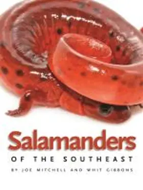 Mitchell / Gibbons |  Salamanders of the Southeast | Buch |  Sack Fachmedien