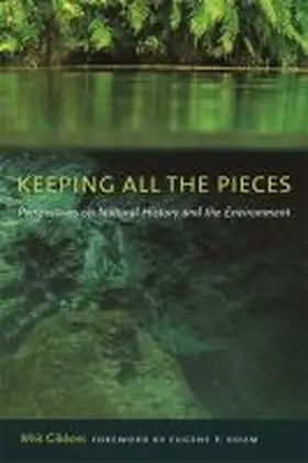 Gibbons |  Keeping All the Pieces | Buch |  Sack Fachmedien