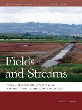 Lave |  Fields and Streams | eBook | Sack Fachmedien