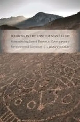 Wohlpart |  Walking in the Land of Many Gods | Buch |  Sack Fachmedien