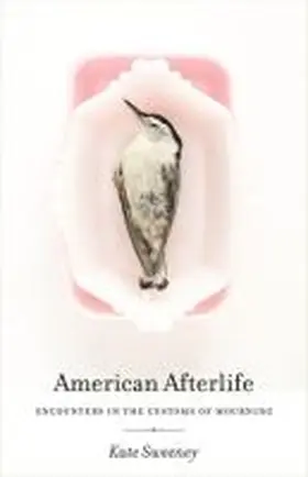 Sweeney |  American Afterlife | Buch |  Sack Fachmedien