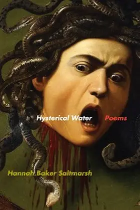 Saltmarsh |  Hysterical Water | eBook | Sack Fachmedien
