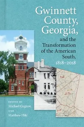Hild / Gagnon |  Gwinnett County, Georgia, and the Transformation of the American South, 1818-2018 | eBook | Sack Fachmedien