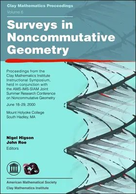 Higson / Roe |  Surveys in Noncommutative Geometry | Buch |  Sack Fachmedien