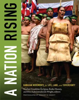 Goodyear-Kaopua / Hussey / Wright |  A Nation Rising | eBook | Sack Fachmedien