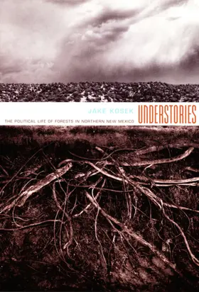 Kosek |  Understories | eBook | Sack Fachmedien