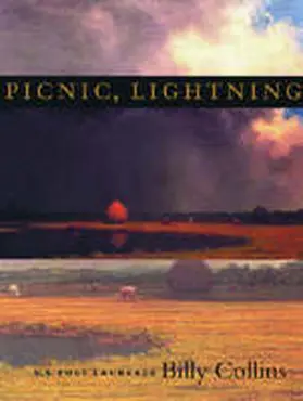 Collins |  Picnic, Lightning | Buch |  Sack Fachmedien