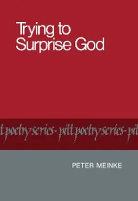 Meinke |  Trying to Surprise God | eBook | Sack Fachmedien