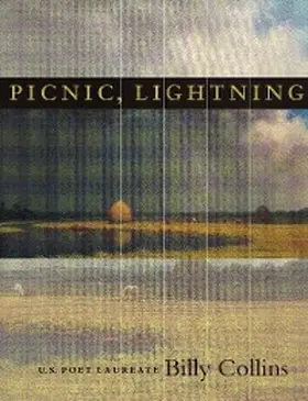 Collins |  Picnic, Lightning | eBook | Sack Fachmedien