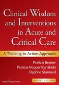 Benner / Hooper-Kyriakidis / Stannard |  Clinical Wisdom and Interventions in Acute and Critical Care | eBook | Sack Fachmedien