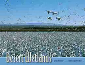 Fleischner | Desert Wetlands | Buch | 978-0-8263-3261-5 | sack.de