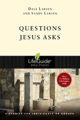 Larsen |  Questions Jesus Asks | eBook | Sack Fachmedien