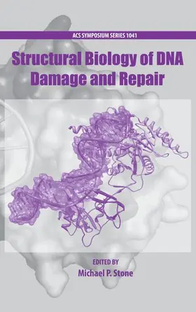 Stone |  Structural Biology of DNA Damage and Repair | Buch |  Sack Fachmedien