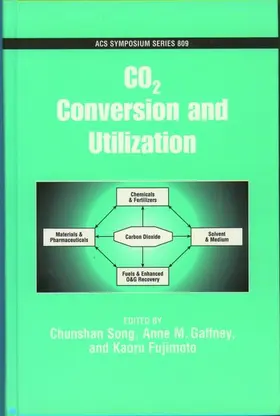 Song / Gaffney / Fujimoto |  CO2 Conversion and Utilization | Buch |  Sack Fachmedien