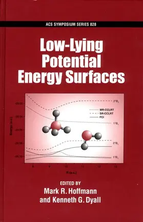 Hoffmann / Dyall |  Low-Lying Potential Energy Surfaces | Buch |  Sack Fachmedien