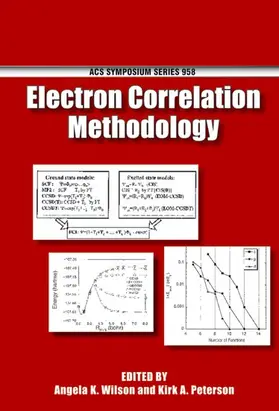 Wilson / Peterson |  Electron Correlation Methodology | Buch |  Sack Fachmedien