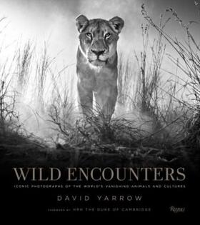Yarrow |  Wild Encounters | Buch |  Sack Fachmedien