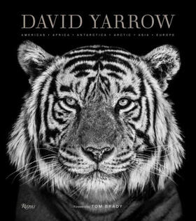 Yarrow / Brady |  David Yarrow Photography | Buch |  Sack Fachmedien