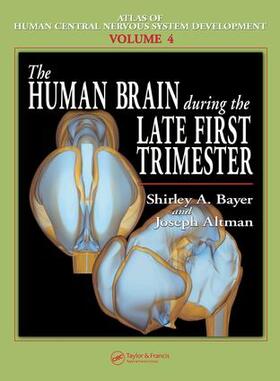 Bayer / Altman | The Human Brain During the Late First Trimester | Buch | 978-0-8493-1423-0 | sack.de