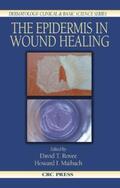 Rovee / Maibach |  The Epidermis in Wound Healing | Buch |  Sack Fachmedien