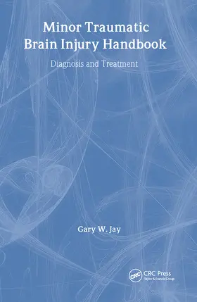 Jay |  Minor Traumatic Brain Injury Handbook | Buch |  Sack Fachmedien