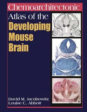 Abbott |  Chemoarchitectonic Atlas of the Developing Mouse Brain | Buch |  Sack Fachmedien