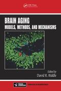 Riddle |  Brain Aging | Buch |  Sack Fachmedien