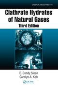 Sloan, Jr. / Koh |  Clathrate Hydrates of Natural Gases | Buch |  Sack Fachmedien