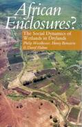 Woodhouse / Bernstein / David |  African Enclosures? - The Social Dynamics of Wetlands in Drylands | Buch |  Sack Fachmedien