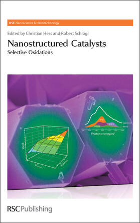 Hess / Schlögl | Nanostructured Catalysts | Buch | 978-0-85404-186-2 | sack.de