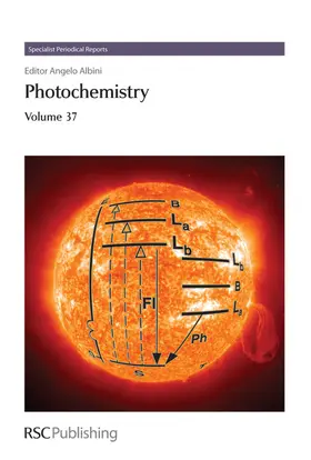 Albini |  Photochemistry | Buch |  Sack Fachmedien