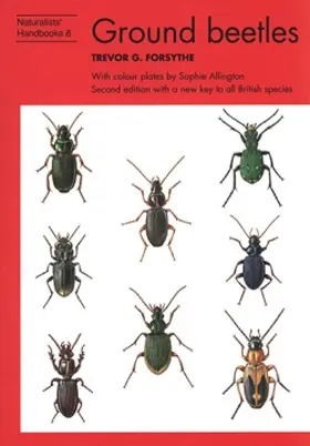Forsythe |  Ground beetles | Buch |  Sack Fachmedien
