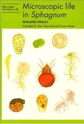 Hingley |  Microscopic Life in Sphagnum | Buch |  Sack Fachmedien