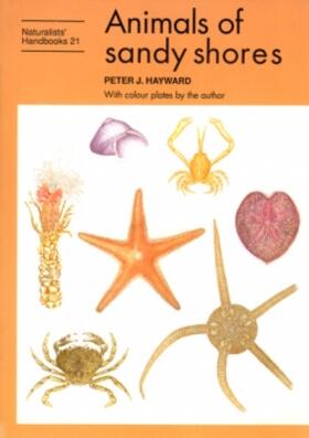 Hayward | Animals of sandy shores | Buch | 978-0-85546-294-9 | sack.de