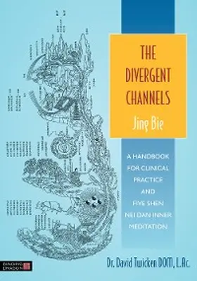 Twicken |  The Divergent Channels - Jing Bie | eBook | Sack Fachmedien