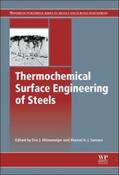 Mittemeijer / Somers |  Thermochemical Surface Engineering of Steels: Improving Materials Performance | Buch |  Sack Fachmedien
