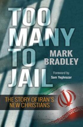 Bradley |  Too Many to Jail | eBook | Sack Fachmedien