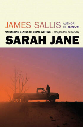 Sallis |  Sarah Jane | Buch |  Sack Fachmedien