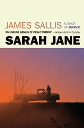 Sallis |  Sarah Jane | eBook | Sack Fachmedien