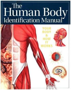 Ashwell |  Human Body Identification Manual (Academic Edition) | Buch |  Sack Fachmedien