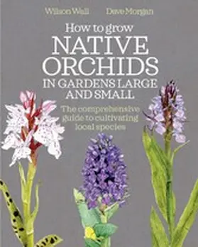 Wall / Morgan |  How to Grow Native Orchids in Gardens Large and Small | eBook | Sack Fachmedien