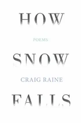 Raine |  How Snow Falls | eBook | Sack Fachmedien