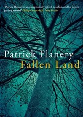 Flanery |  Fallen Land | eBook | Sack Fachmedien
