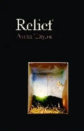 Taylor |  Relief | Buch |  Sack Fachmedien