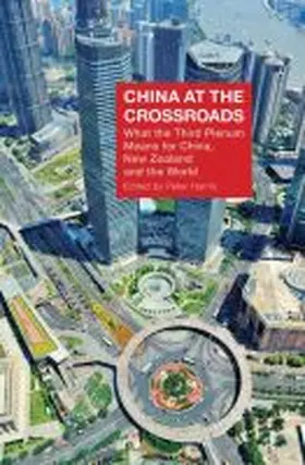  China at the Crossroads | Buch |  Sack Fachmedien