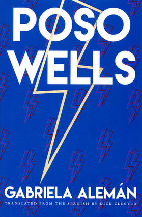Alemán |  Poso Wells | Buch |  Sack Fachmedien