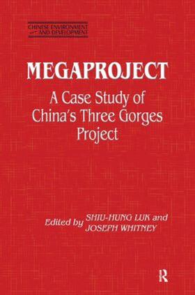 Luk / Whitney | Megaproject | Buch | 978-0-87332-733-6 | sack.de